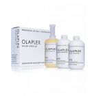 Olaplex Salon Kit 