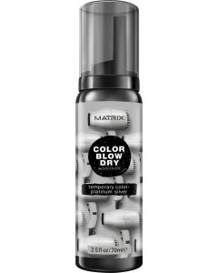 Matrix Color Blow Dry Titanium Silver 70ml