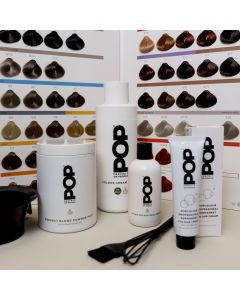 POP Webinar Colour Basic Dinsdag 27 Februari 20.00 - 21.30