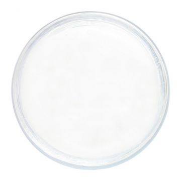 IBD Builder Gel Pure White Puur wit 14 gr